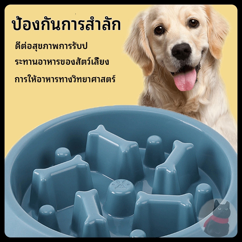 ชามอาหารสัตว์เลี้ยง ชามช่วยลดการสำลัก ชามลดการกินไว ชามอาหารฝึกให้ทานช้าลง ชามกันมูมมาม สุนัขและแมว