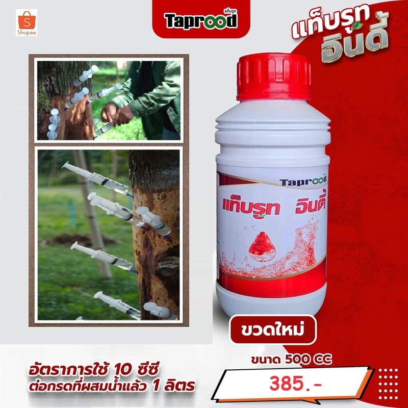 แท็บรูท อินดี้ ต้นป่วยจากไฟท็อปร่วมกับเชื้อฟิวซาเรียม