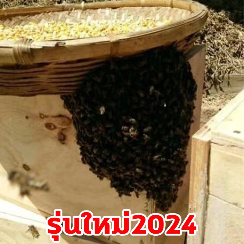 🐝ผึ้งมาทันที🐝เก็บผึ้งทั้งฝูง หัวเชื้อล่อผึ้ง ใช้ดีกว่าไขผึ้ง ฟีโรโมนล่อผึ้ง สูตรเข้มข้น ฟีโลโมน ล่อผึ้งไขผึ้งธรรมชาติ - รูปที่ 2