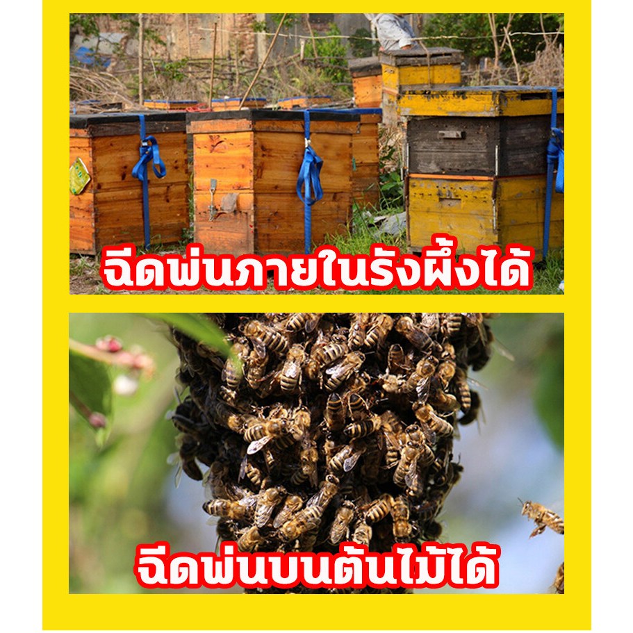 🐝ผึ้งมาทันที🐝เก็บผึ้งทั้งฝูง หัวเชื้อล่อผึ้ง ใช้ดีกว่าไขผึ้ง ฟีโรโมนล่อผึ้ง สูตรเข้มข้น ฟีโลโมน ล่อผึ้งไขผึ้งธรรมชาติ - รูปที่ 6