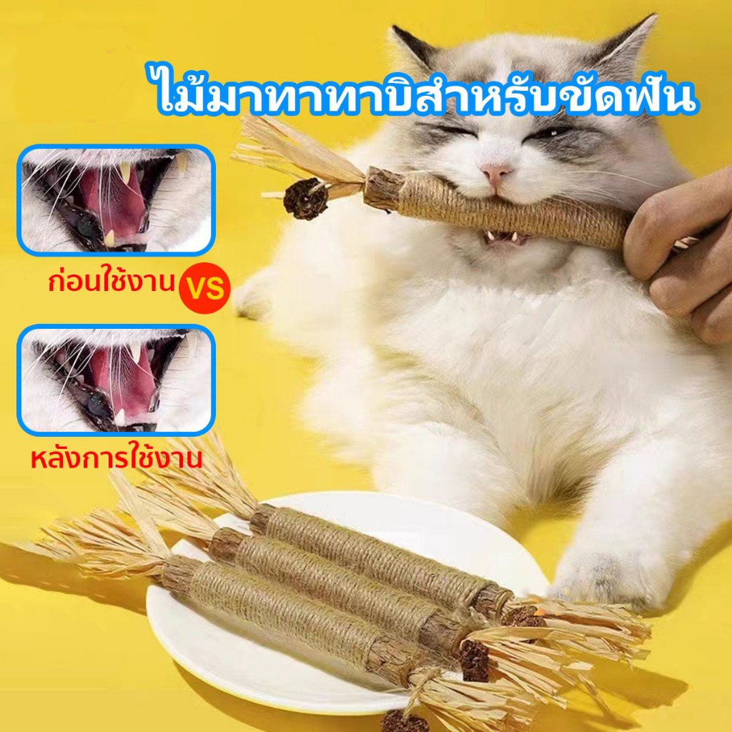 ไม้มาทาทาบิ ขัดฟันแมว แบบเชือก ไม้ขัดฟันแมว ของเล่นแมว ลดคราบหินปูน สําหรับสัตว์เลี้ยง แมว