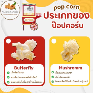 🌽 เมล็ดข้าวโพด ป๊อปคอร์น 🌽 1 kg. เกรดส่งออก มีให้เลือก 2 แบบ ทั้งแบบกลม (มัชรูม) และ แบบผีเสื้อ (แบบเดียวกับโรงหนัง)