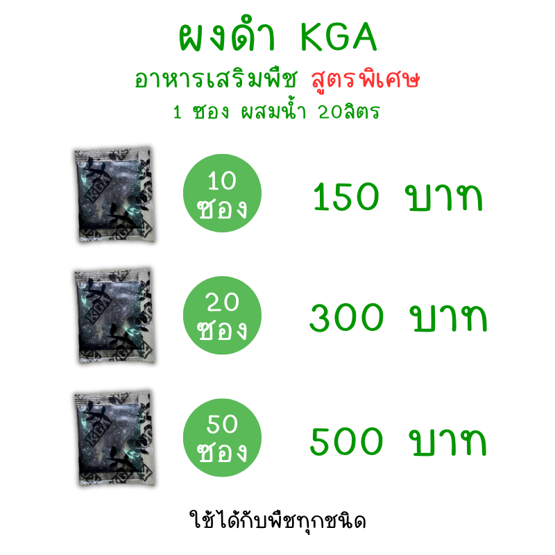 ผงดำ KGA (ปุ๋ยกึ่งฮอร์โมน) สารเสริมพืช ลดต้นทุน เพิ่มผลผลิต