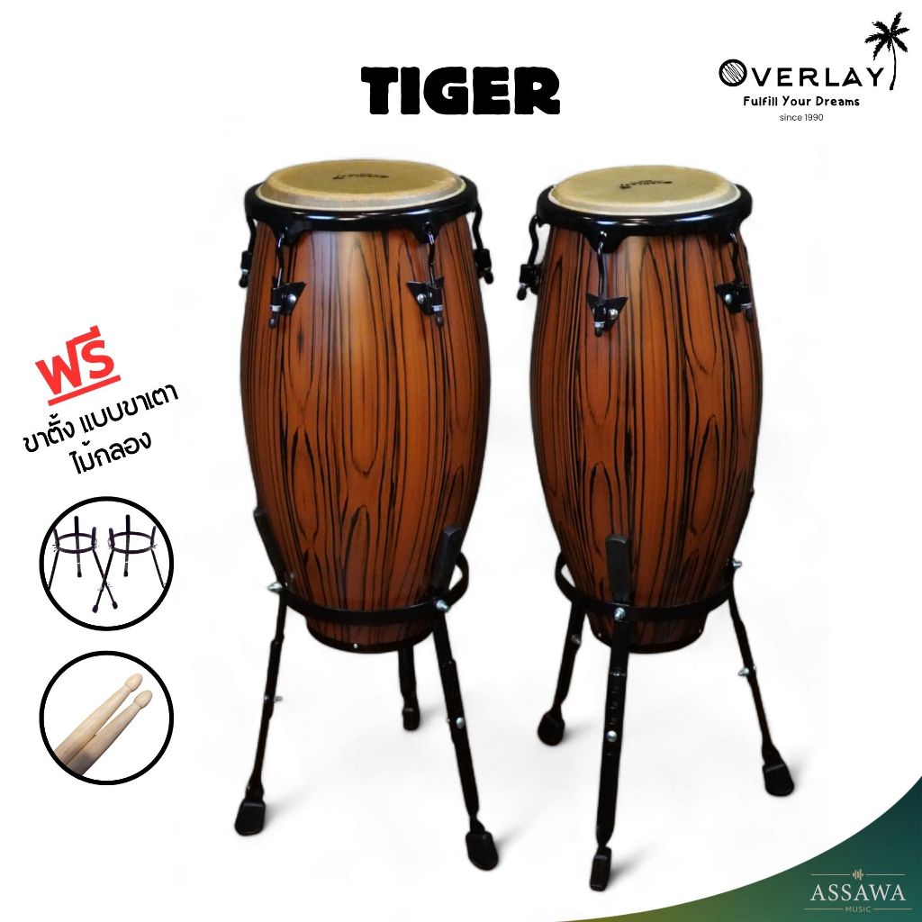 Overlay 🥁 กลองทอมบ้า Tomba ไม้ oak wood Conga คองก้า กลองกีฬาสี ฟรีขาตั้ง แบบขาเตา และ ไม้กลอง 10,11 นิ้ว