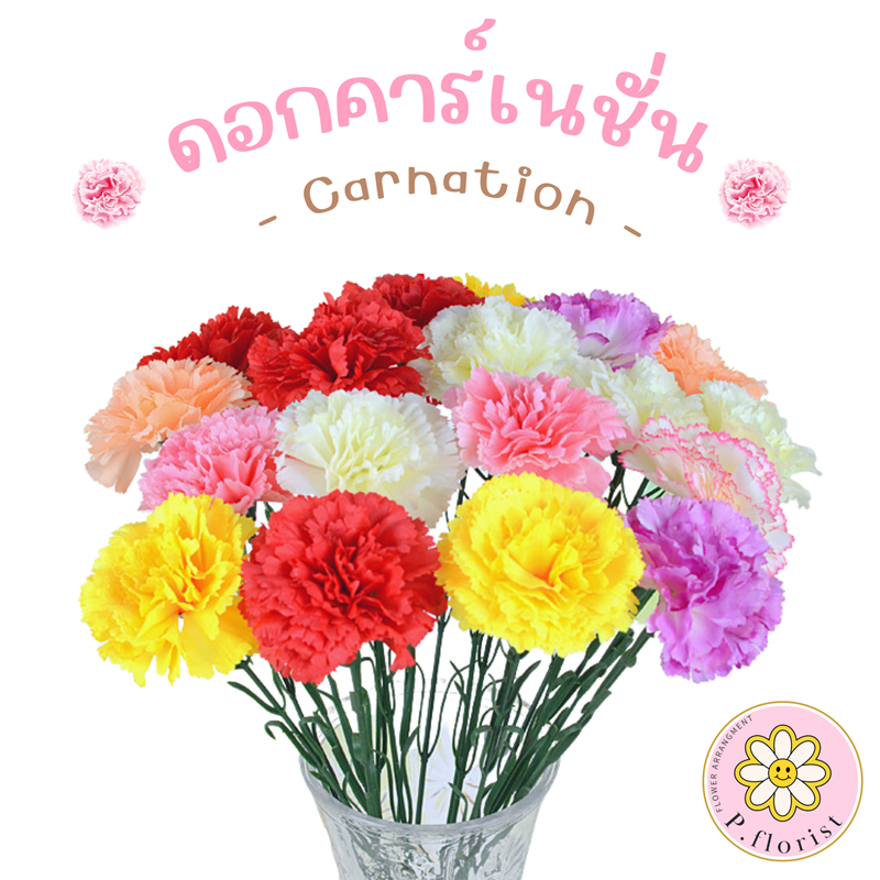 คาเนชั่นก้านเดี่ยว PF-F2011 ดอกกุหลาบ ดอกไม้ประดิษฐ์ ดอกไม้ปลอม ช่อดอกไม้ ตกแต่งบ้าน พร็อพถ่ายรูป