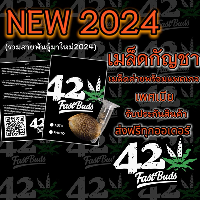 เมล็ดกัญชาค่าย(เพศเมีย) มาใหม่ พร้อมแพ็คเกจ(NEW2024) ส่งฟรี สินค้าแท้รับประกันคุณภาพ รับประกันการจัดส่ง เมล็ดกัน