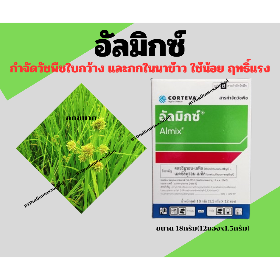 อัลมิกซ์ สารกำจัดวัชพืชในตำนาน กำจัดวัชพืชใบกว้าง กก ในนาข้าว ได้เด็ดขาด เป็นที่นิยมมาอย่างยาวนาน ใช้น้อยได้ผลดี