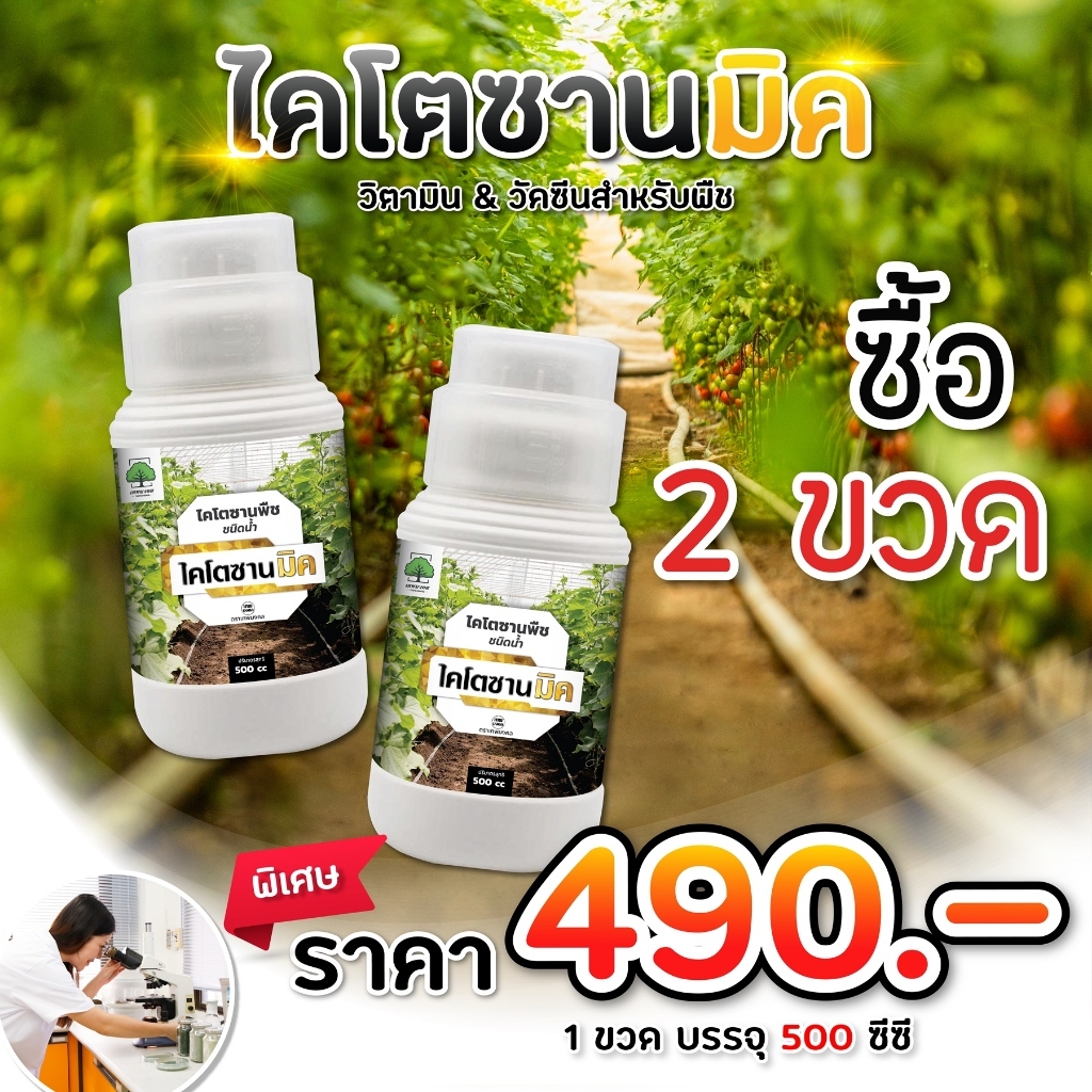 (2ขวด) ไคโตซานมิค ไคโตซานพืช สูตรพืช เสริมภูมิต้านทาน โรคพืช เชื้อรา ไวรัส แบคทีเรีย สูตรพืช 500 ซีซี