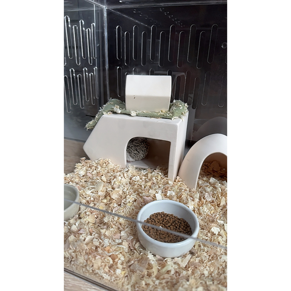 [ChillSpot] Nordic House บ้านหลบเซรามิค ไจแอนท์แฮมสเตอร์ หนูดัมโบ้ ชูการ์ไกลเดอร์ มินิมอล ราคา ถูกที่สุด ดีลบีเคเค แกลเลอรีภาพที่ 9