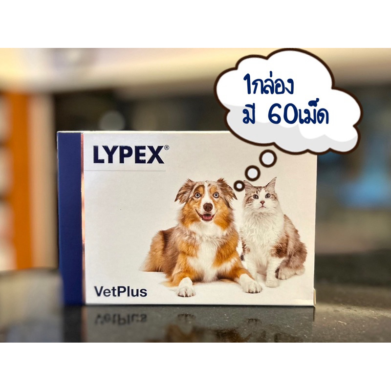 🐶🐱 Lypex เอนไซม์ช่วยย่อยอาหารสำหรับสุนัขและแมว 1กล่องมี 60เม็ด