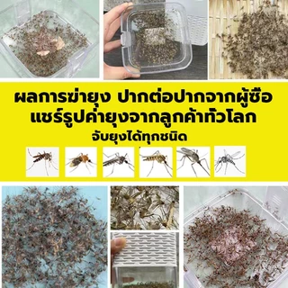 เครื่องดักยุง อัตราการฆ่ายุง99% แรงลมดูดยุง โคมดักยุงระบบสัมผัส แบบ 360 ตะข่ายช็อตยุง แสงม่วงล่อยุง