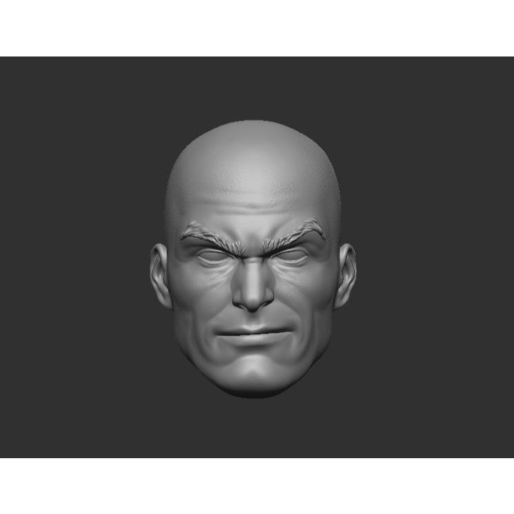 Lex Luthor - Headsculpt for Action Figures 3D print model