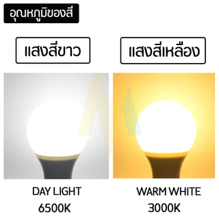 หลอดไฟ หลอดปิงปอง 12V มีให้เลือก 2 สี Daylight / Warmwhite ขั้วเกลียว E27 ประหยัดไฟ สว่าง ไม่มีรังสี UV 5W 7W 9W 12W
