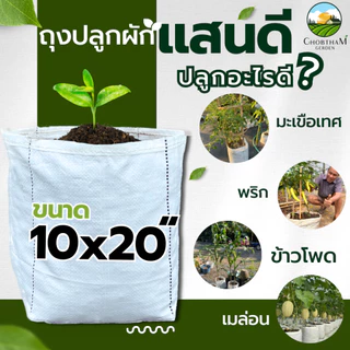ถุงปลูกสีขาวแสนดี 10x20 นิ้ว 5 ใบ/แพ็ค ถุงเพาะปลูก ถุงเพาะชำ ถุงเพาะ ระบายน้ำดี