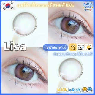 คอนแทคเลนส์ Lisa Brown / Gray / Almond Brown (Montra) ขนาดกลาง 💙 เลนส์ฟิลเตอร์ ไล่สี สวยฉ่ำ ลดตาลอย