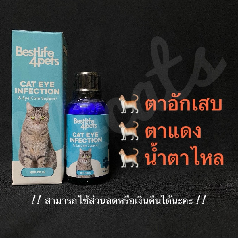 อาหารเสริม วิตามิน แมวตาอักเสบ แมวตาแดง แมวน้ำตาไหล