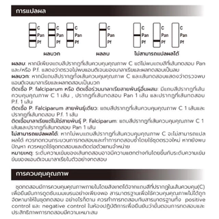 ออร่าเมด ชุดตรวจเชื้อมาลาเรีย 4สายพันธูป Auramed Malaria Plasmodium Falciparum (P.f.)/Pan Rapid Test Kit