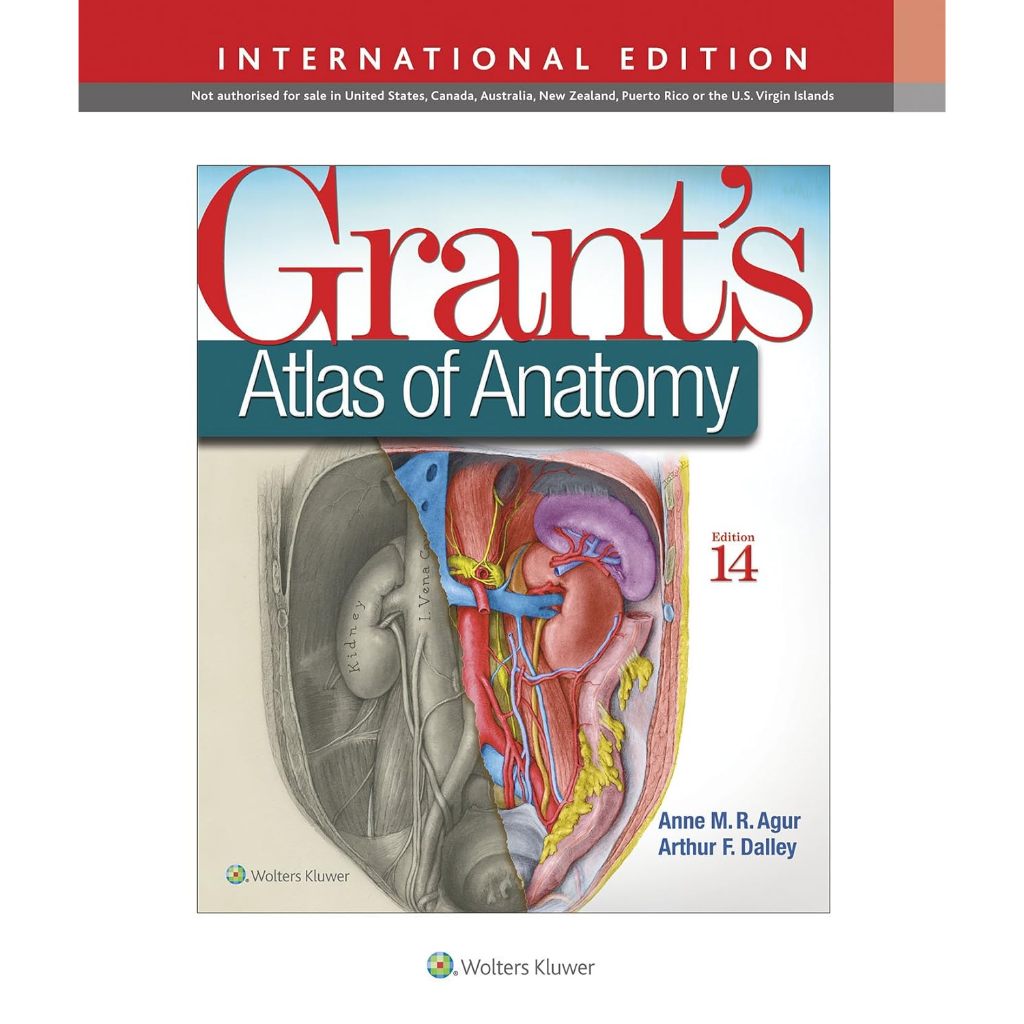 Grant's Atlas of Anatomy, 14 ed, IE - 9781496310248