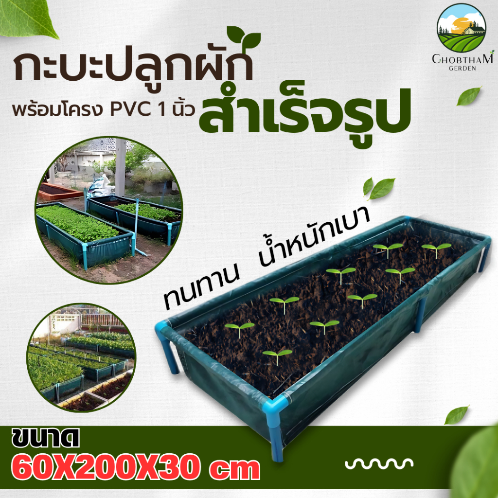 (ร้านแรกมีร้านเดียว)กะบะปลูกผัก กระบะปลูกผัก พร้อมโครง PVC 1 นิ้ว ขนาด 60x200x30 cm (ของแท้)"