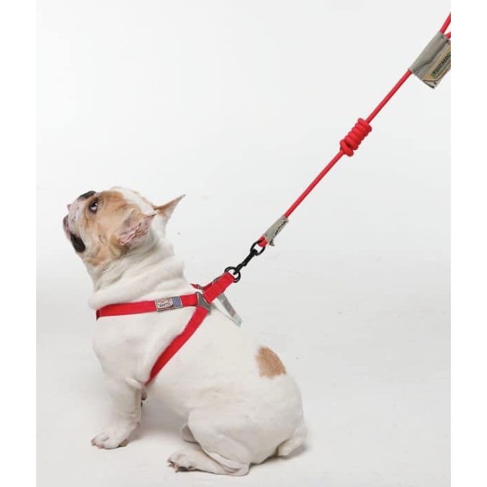 Touchdog สายจูงสุนัขไนลอนกลม 7mm. + รัดใต้อก 15mm.  สำหรับสุนัขดีไซน์สวย คุณภาพดี  (Size S) เหมาะกับ