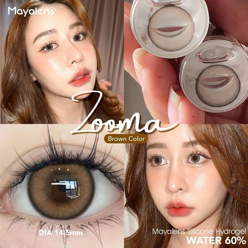 Zooma Bigeye gray brown  bigeye บิ๊กอาย สีเทา สีน้ำตาล ✨คอนเเทคเลนส์สัญชาติเกาหลี🇰🇷✨