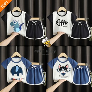 เสื้อแขนสั้น+กางเกงขาสั้น ชุดเด็ก เสื้อผ้าเด็กชายหญิง อินเทร…