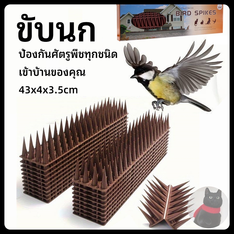 ที่กันนก หนามไล่นกพิราบ หนามกันนก หนามนก อุปกรณ์ไล่นก ไล่แมว หนามกันนกเกาะ bird thorn