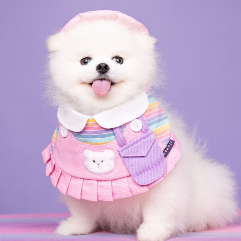 Momoji Bear Girl Pastel Violet Pet Bib ชุดสุนัข ชุดแมว