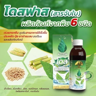[ถูกที่สุด]โดสฟาส Dose Fast โดสสารจับใบ เพิ่มประสิทธิภาพการจับใบ ยึดติดเหนียวแน่นไม่กลัวฝน
