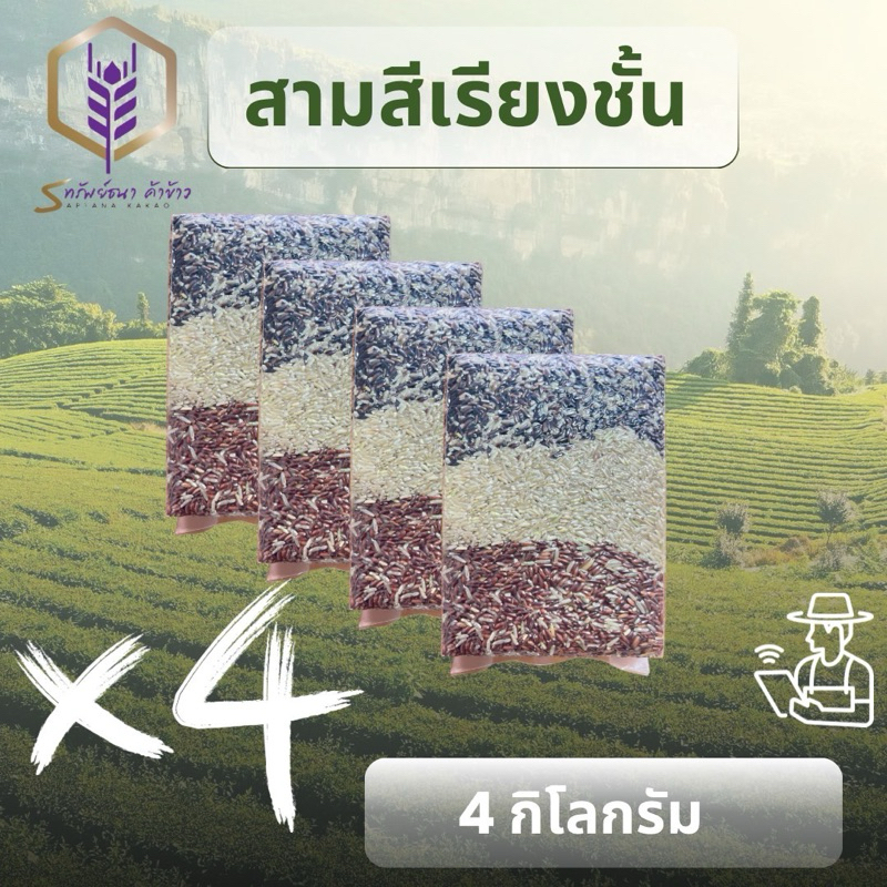 ข้าวสามมีเรียงชั้นแพคสูญญากาศ4กิโลกรัม ตราทรัพย์ธนา