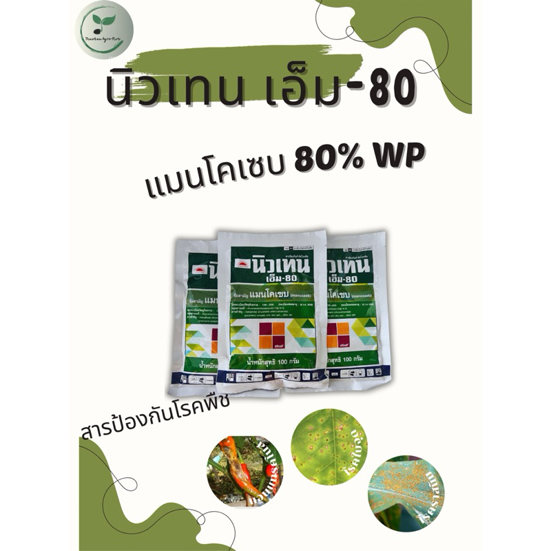 นิวเทน เอ็ม-80 (แมนโคเซบ) ขนาด 100g แอนแทรคโนส โรคราสนิม โรคใบจุด โรคใบไหม้