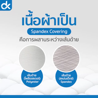Socksy ถุงเท้าคัชชู ซ่อนขอบ ข้อเว้า กันหลุด สไตล์ญี่ปุ่น มีซิลิโคน ฟรีไซส์ ใส่สบาย