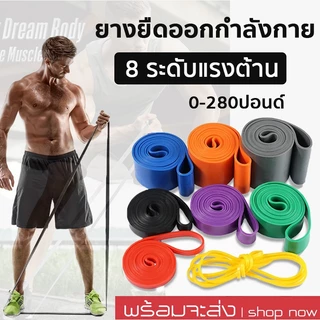 【8 ระดับ】 ยางยืดออกกําลังกายแรงต้าน ยางดึงข้อ บริหารกล้ามเนื้อ ฝึกความแข็งแรง resistance band PULLUP