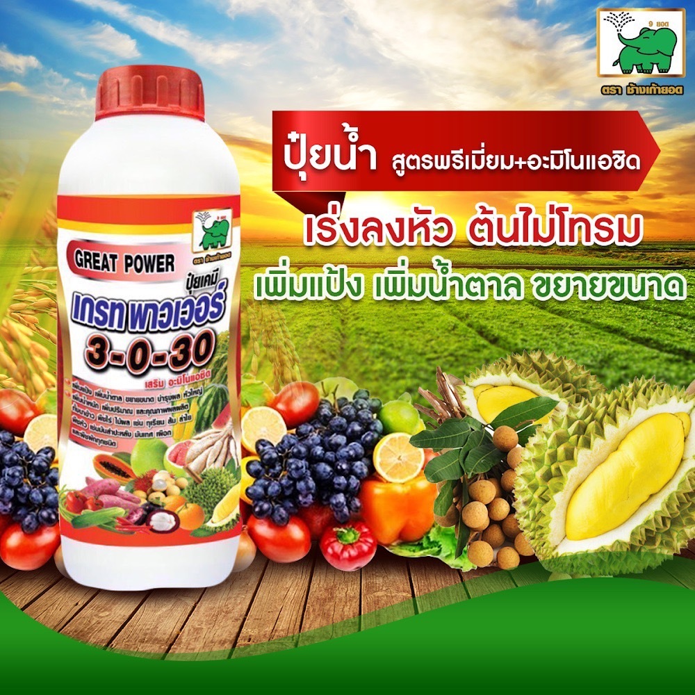 ปุ๋ยน้ำ NPK เต็มสูตร 3-0-30 + อะมิโนแอซิด ปุ๋ยเกรทพาวเวอร์ ตราช้างเก้ายอด ปุ๋ยน้ำระดับพรีเมี่ยม กินไ