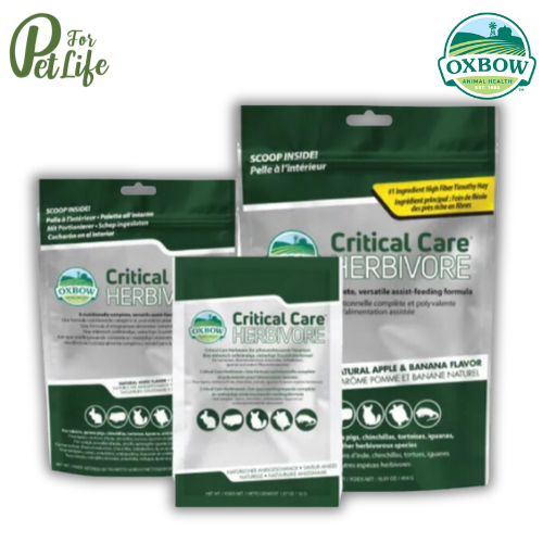 Oxbow Critical Care อาหารเสริมสำหรับสัตว์ป่วยอ๊อกซ์โบว์ 36g, 141g,