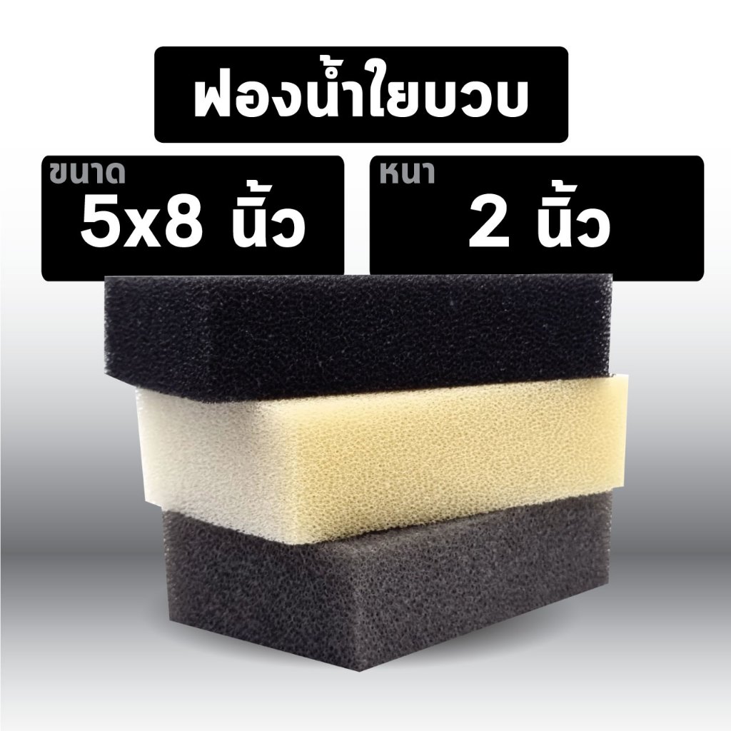 พร้อมส่ง ฟองน้ำใยบวบ 5x8 นิ้ว หนา 2 นิ้ว หยาบน้อย ฟองน้ำเช็ดล้อ