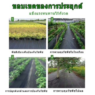 พลาสติกคลุมวัชพืช กำจัดวัชพืช ผ้าคลุมวัชพืช พลาสติกเกรดส่งออก ผสมUV ฆ่าหญ้า เห็นผลไวถายใน 1 เดือน อยุ่ทนกว่า 3-10ปี รับป
