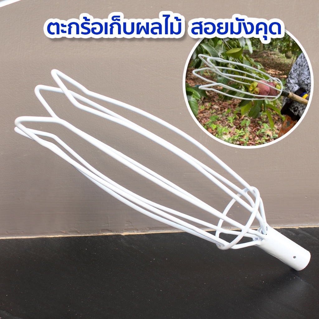 ตะกร้อสอยมังคุดสีขาว ที่สอยมังคุด PVC ที่เก็บมังคุดตราค้างคาว ที่สอยผลไม้ ที่เก็บผลไม้