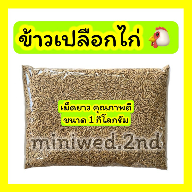 ข้าวเปลือกไก่ คุณภาพดี ขนาด 1 kg