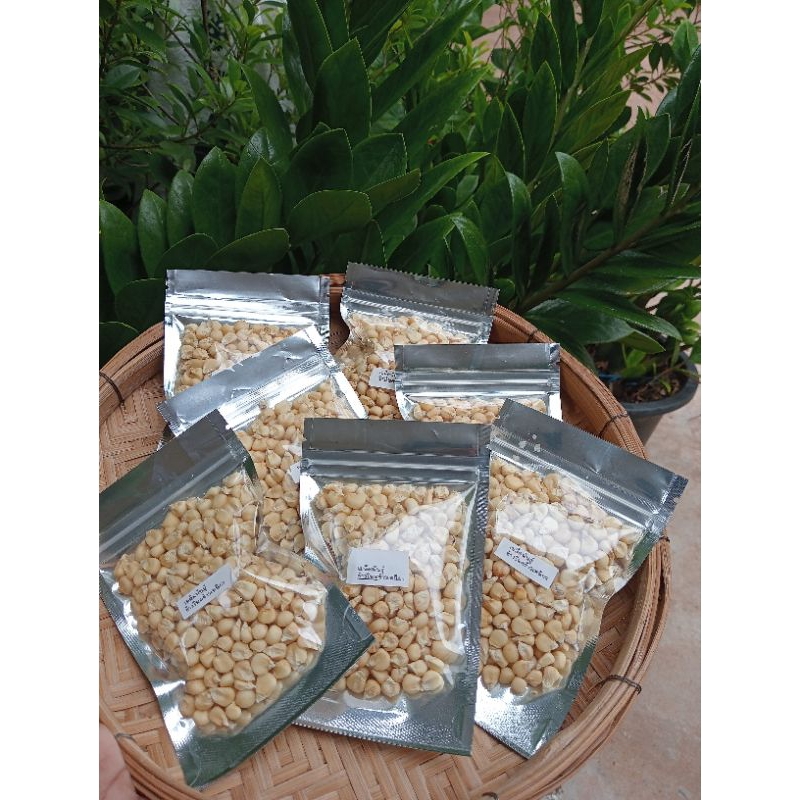 เมล็ดพันธุ์ข้าวโพดข้าวเหนียว300 เมล็ด 39 บาทซื้อ 2 แถม 1 ซอง - รูปที่ 3