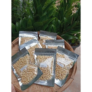 เมล็ดพันธุ์ข้าวโพดข้าวเหนียว300 เมล็ด 49 บาทซื้อ 2 แถม 1 ซอง