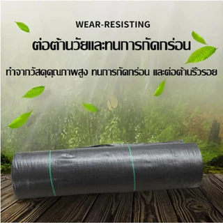 พลาสติกคลุมวัชพืช ขนาด10เมตร กำจัดวัชพืช ผ้าคลุมวัชพืช ผสมUV ฆ่าหญ้า เห็นผลไวถายใน 1 เดือน อยุ่ทนกว่า 3-5 ปี