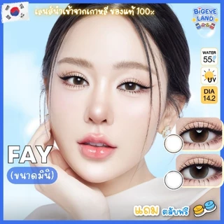 คอนแทคเลนส์ Fay Brown / Gray (Kitty Kawaii) ขนาดมินิ 💙