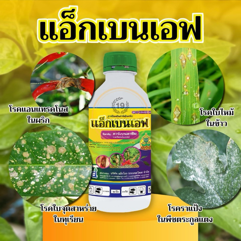 🌱แอ็กเบนเอฟ🌱 สารคาร์เบนดาซิม (carbendazim) 50% SC