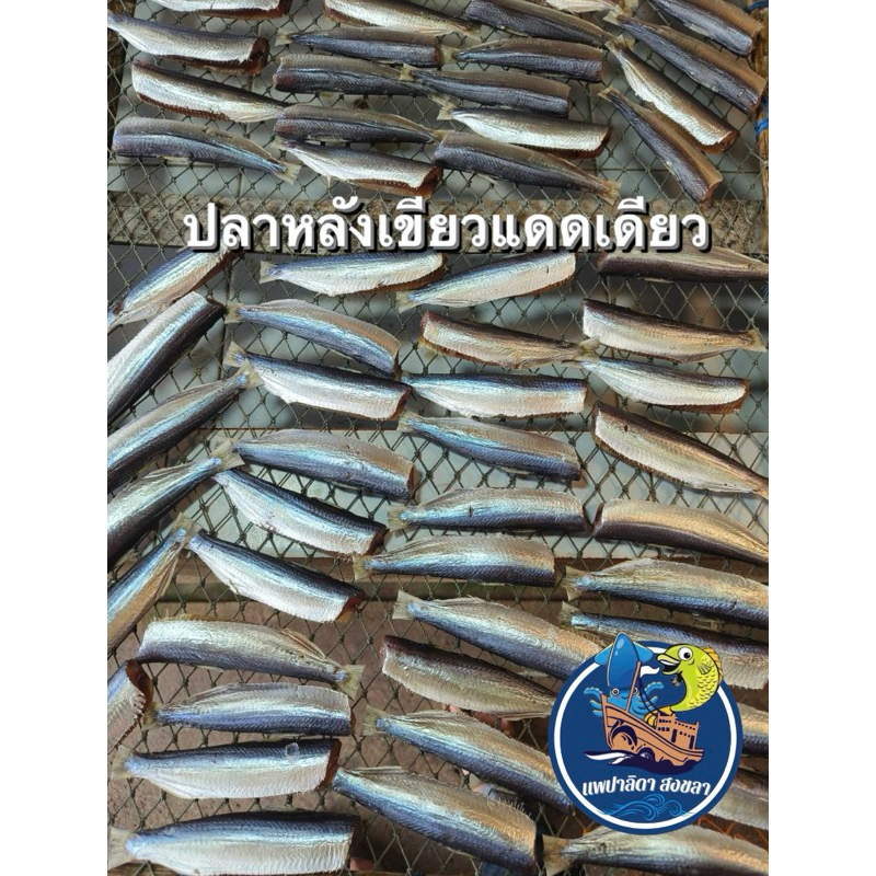 ปลาหลังเขียวแดดเดียว ตัดหัว สดใหม่ แพ็ค 500 กรัม (ฮาลาล)