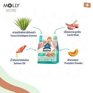 MOLLY✨ BUZZ BEYOND บัซซ์ อาหารเม็ดแมว พรีเมียม สูตรเกรนฟรี อาหารสัตว์เลี้ยง ชนิดเม็ด (ขนาด 1 Kg.)