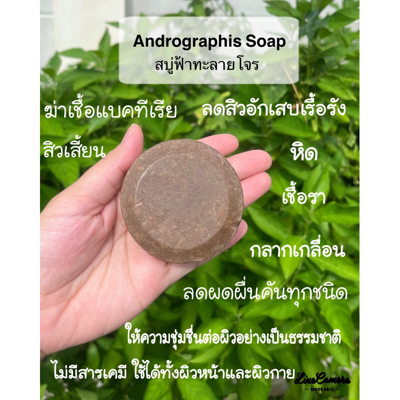 สบู่สมุนไพรลดอาการผดผื่นคัน,สิวอักเสบและอื่นๆ
