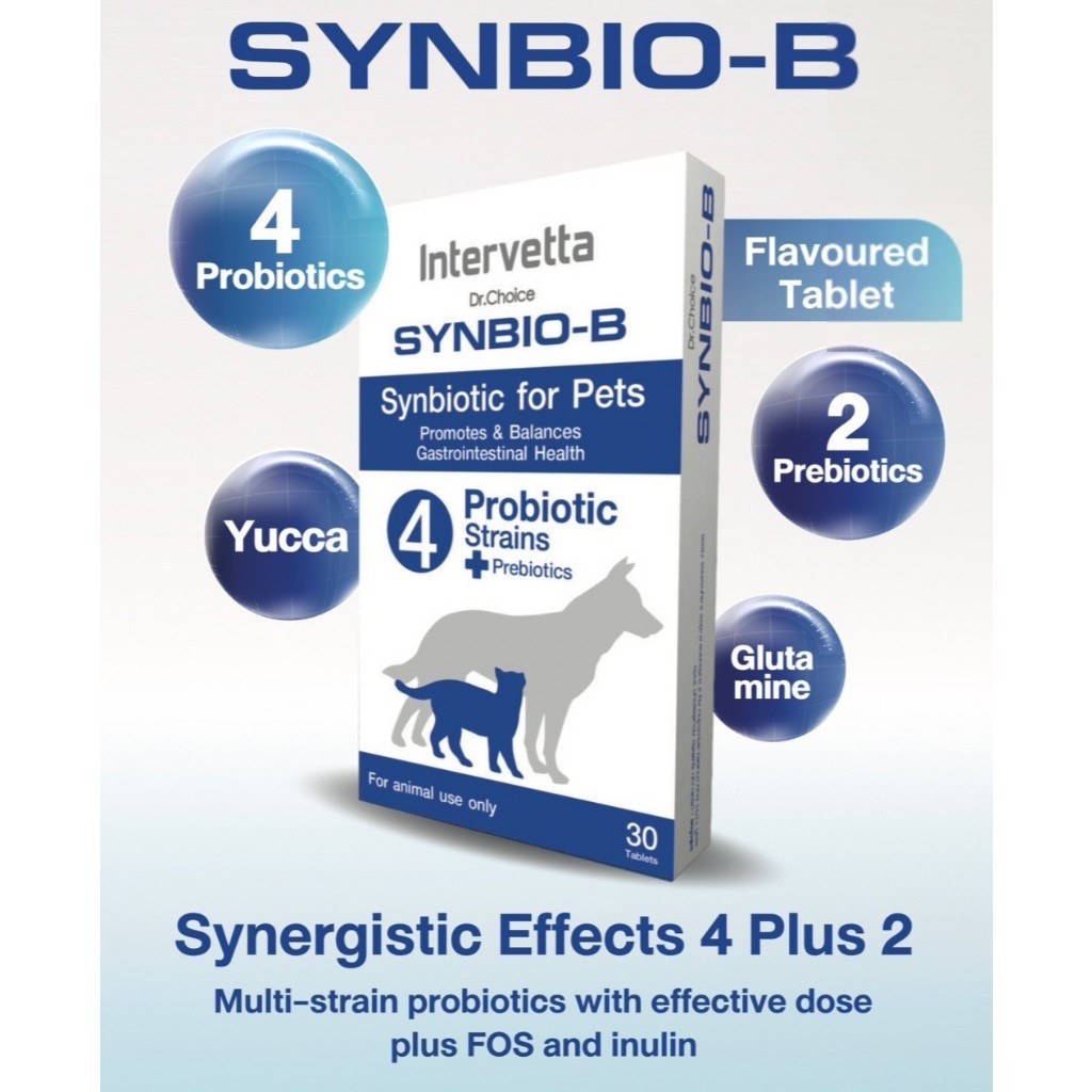 Synbio B โพรไบโอติก+พรีไบโอติก สุนัข-แมว ปรับสมดุลลำไส้ ขับถ่ายเป็นปกติ (ซินไบโอ บี)