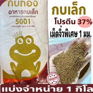 ของใหม่ พร้อมส่ง อาหารกบ  เม็ดเล็ก-เม็ดจิ๋ว  ตรา กบทอง 5001 …