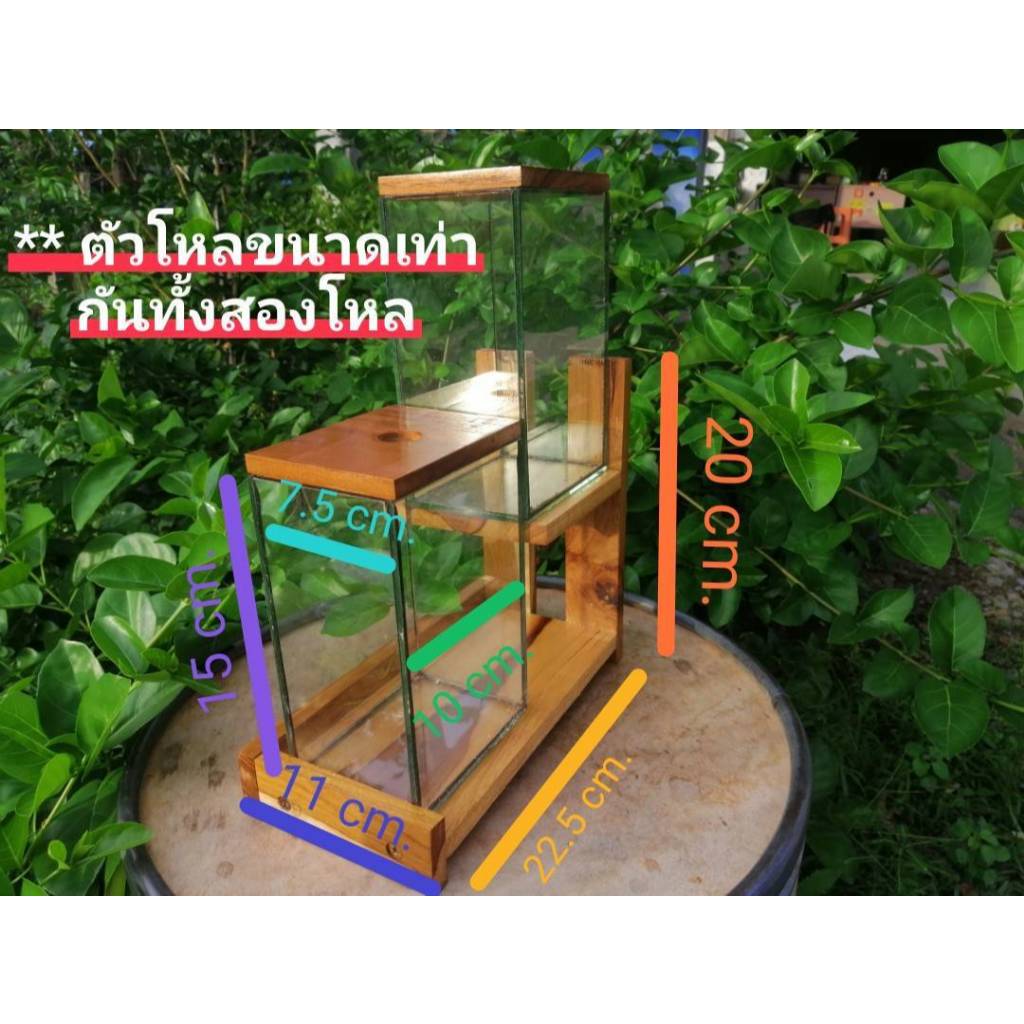 โหลปลาคู่พร้อมชั้นวางไม้สำหรับเลี้ยงปลาสัตว์ขนาดเล็ก